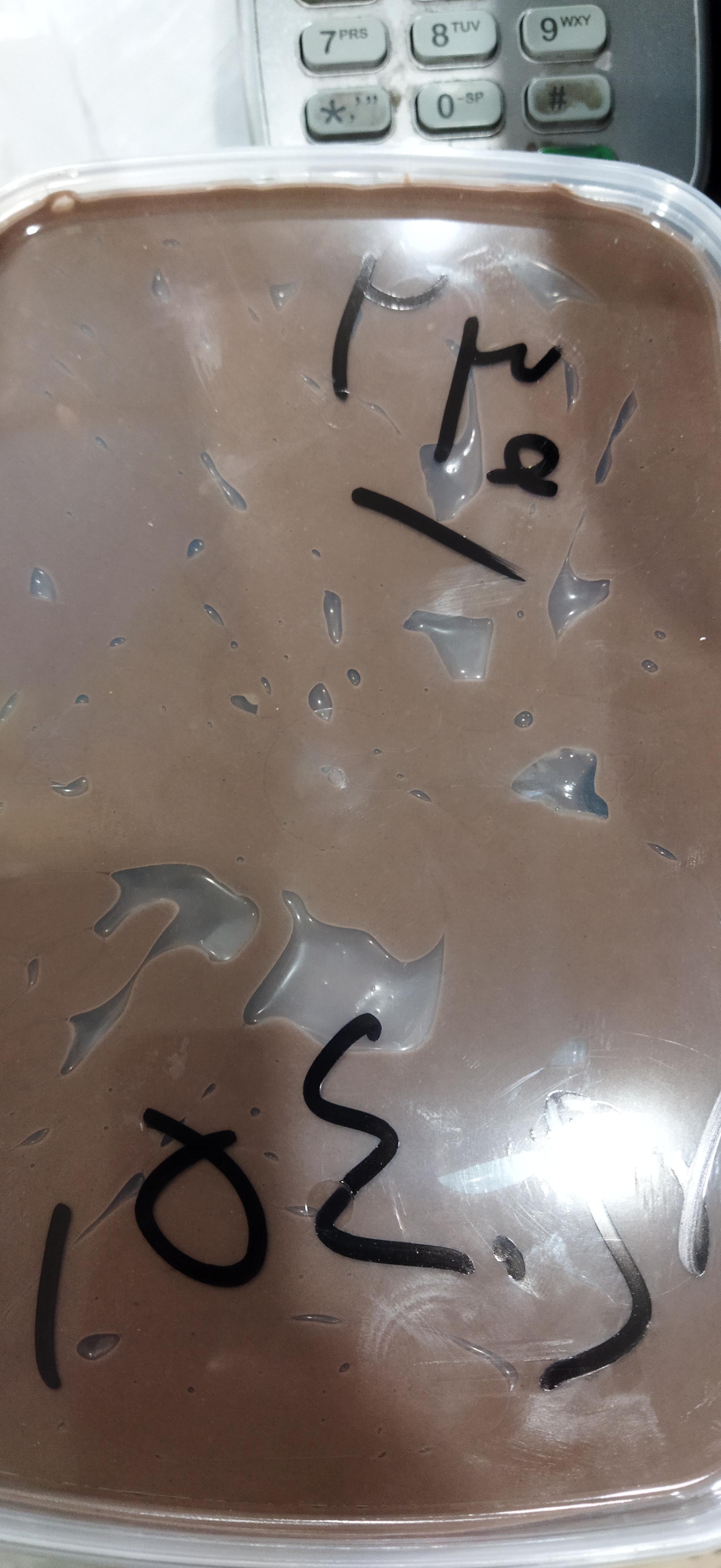 ماست پرچرب محلی گاوی