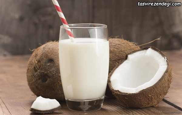 شیر نارگیل