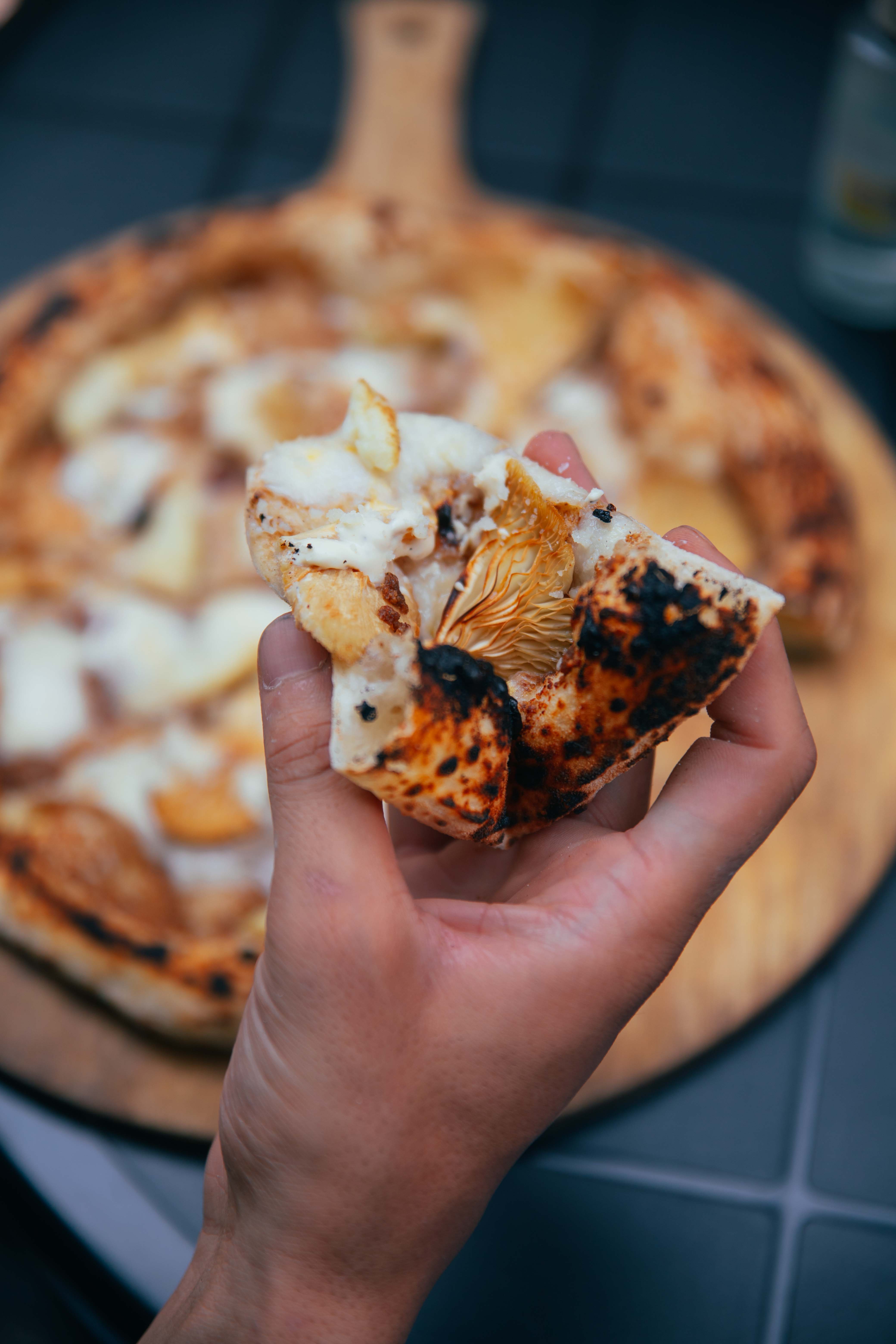 پیتزا ناپُلیتن - فونگی 