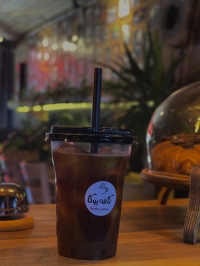 ۱۰۰ روبوستا 