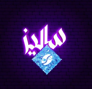 logo img